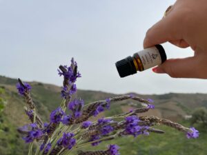 Aceites-Esenciales