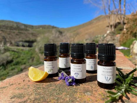 Foto-Portada-Aromaterapia