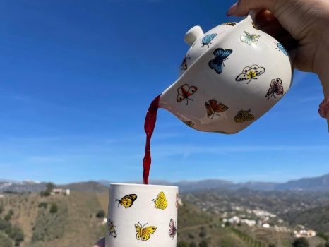 Foto-Portada-Tes Foto-Portada-Tes