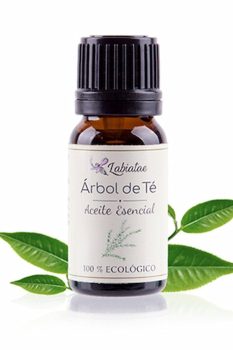 producto-aceite-esencial-arbol-de-te