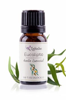 producto-aceite-esencial-eucalipto