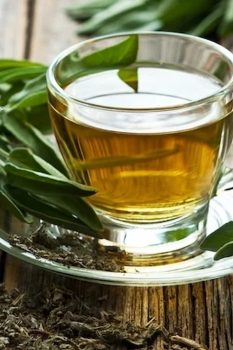 producto-te-verde-vainilla-1